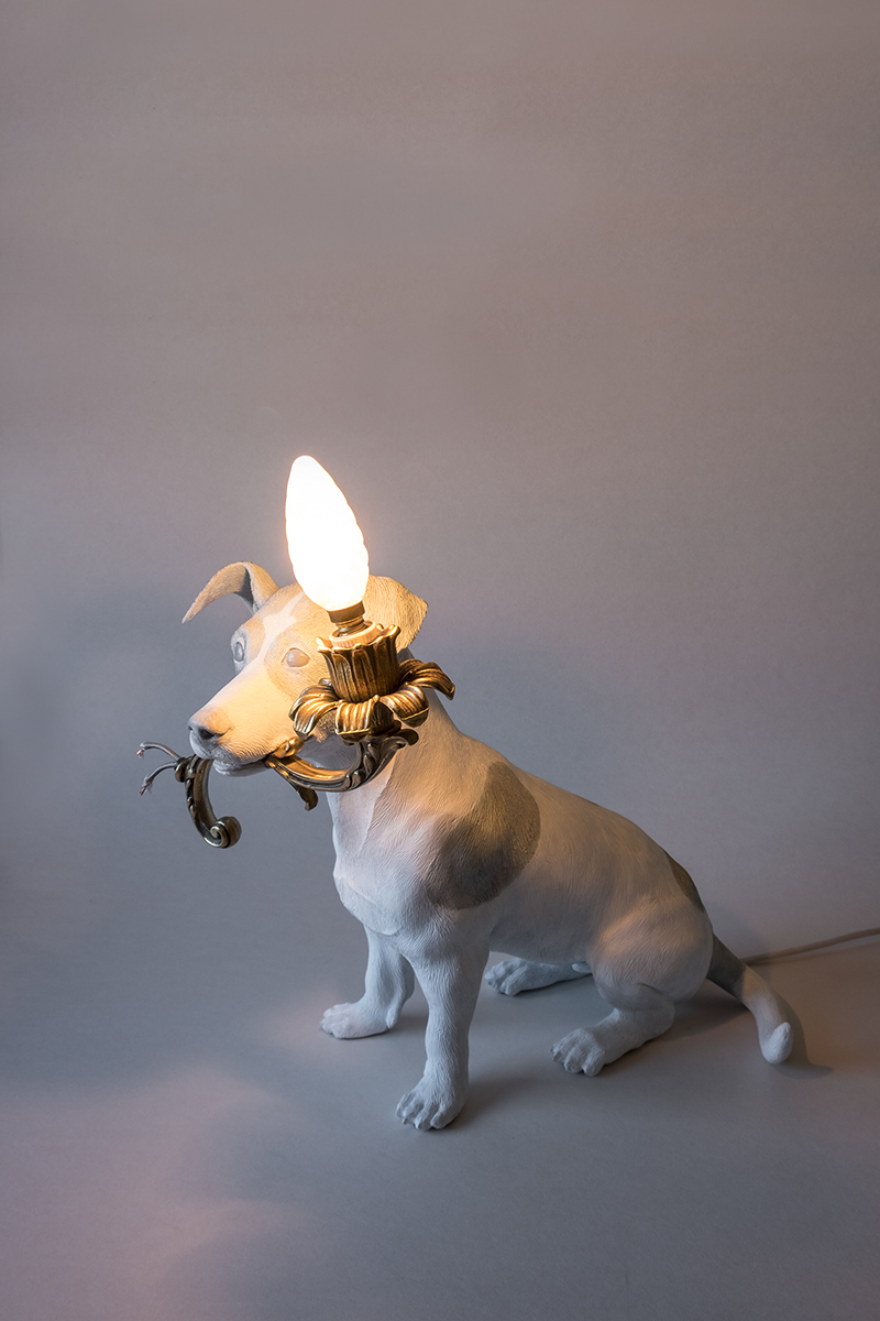 5 MINUTES ALONE... (DOG WITH A LAMP) - Marcantonio design