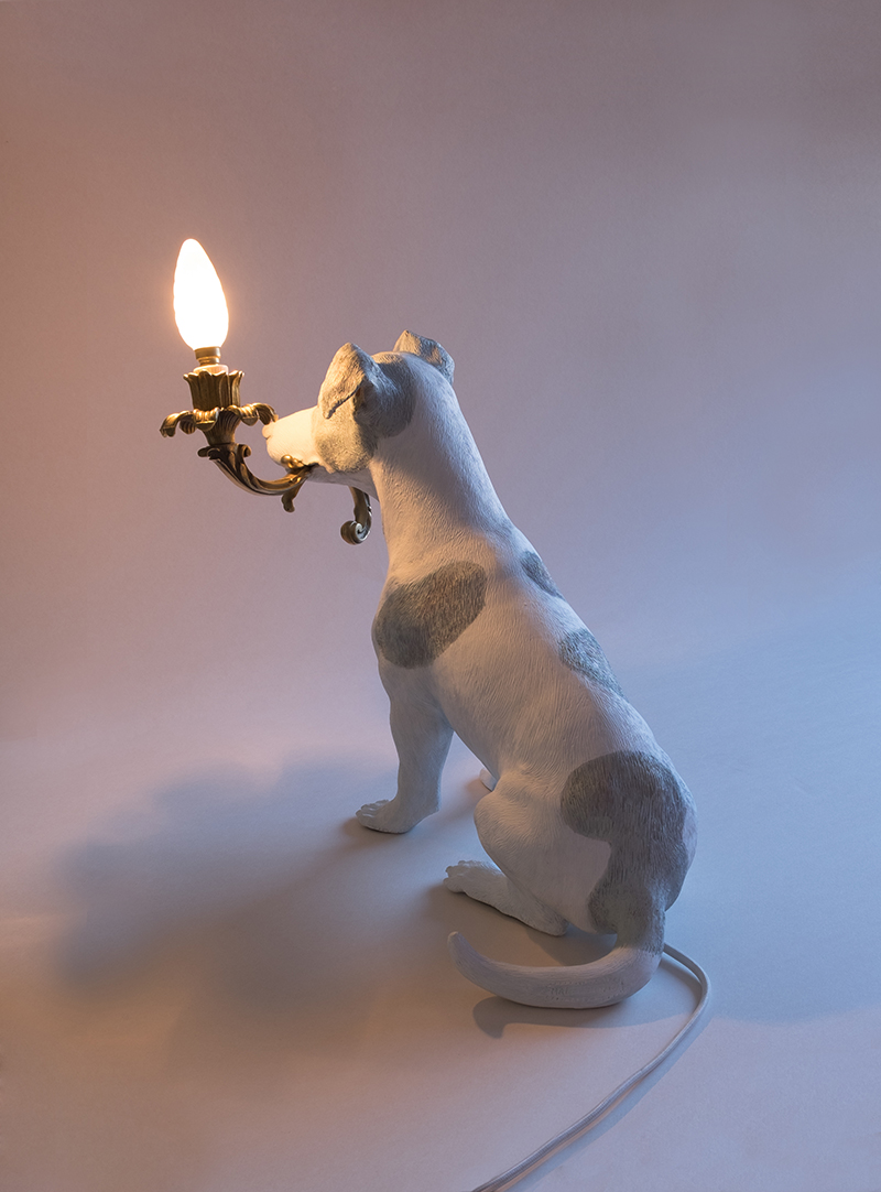 5 MINUTES ALONE... (DOG WITH A LAMP) - Marcantonio design