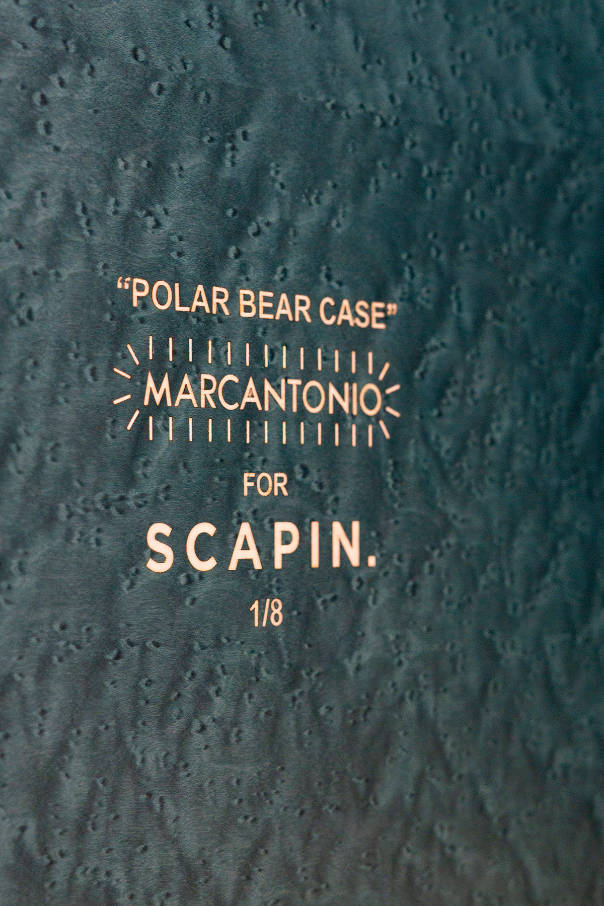 POLAR BEAR CASE - Marcantonio design