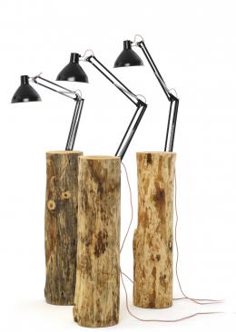 a tree trunk becomes a lamp - Marcantonio design